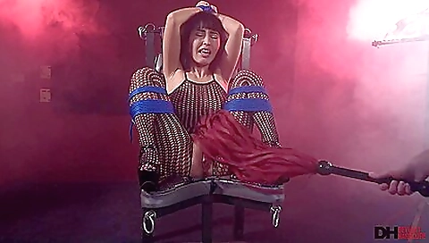 Mas introo- transangels claudi entic mead stuf